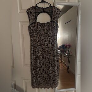 Chic Backless Lace Dress in Black and Cream